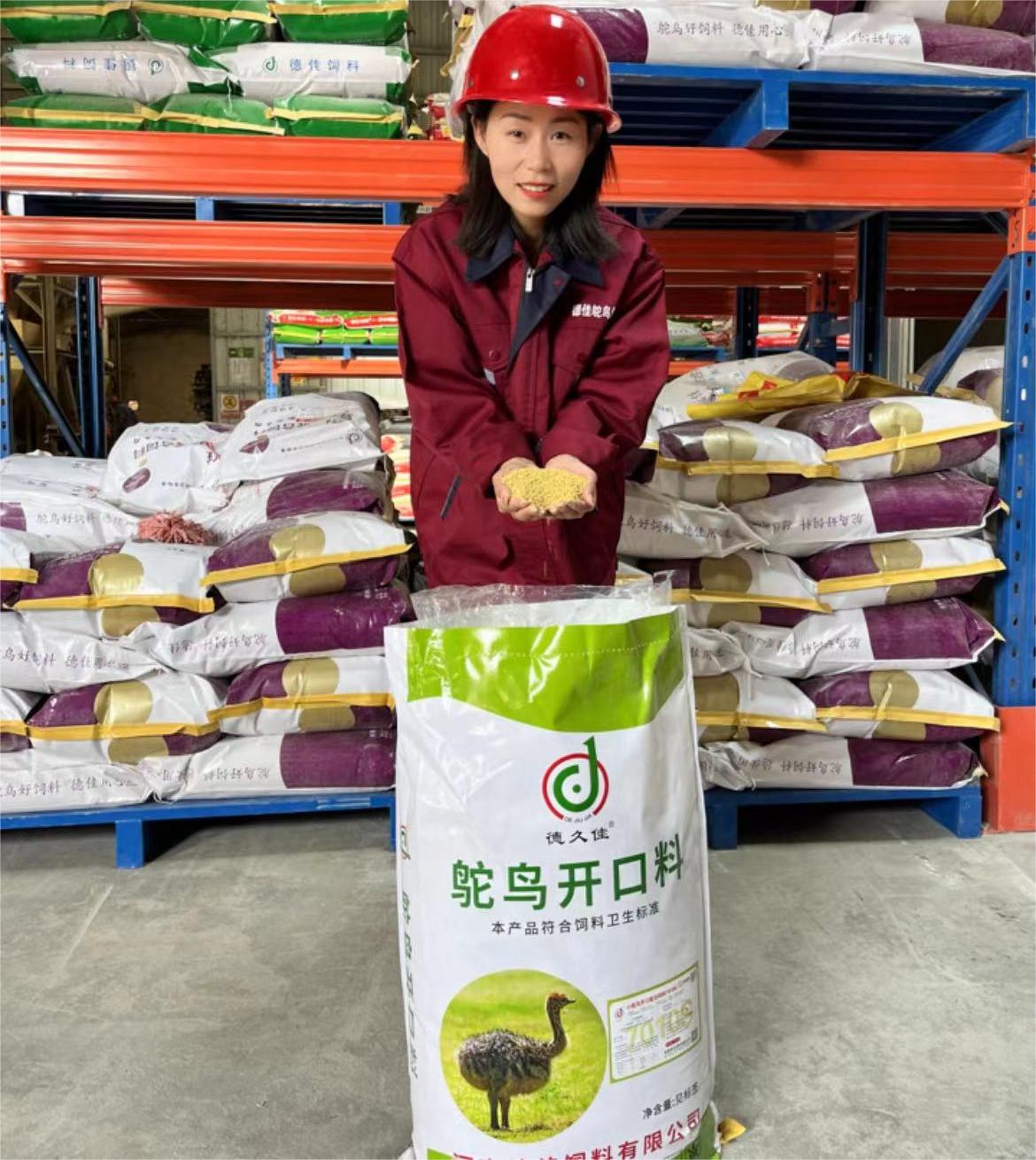 創(chuàng)新領(lǐng)先的河南德佳7010S飼料，讓您的小鴕鳥健康成長無憂慮！